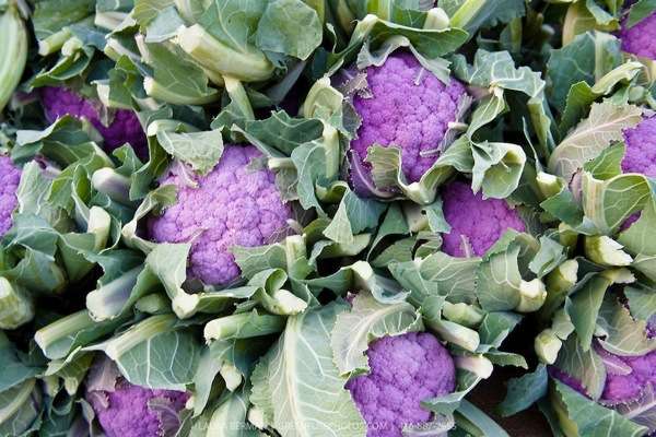 Purple of Sicily cauliflower